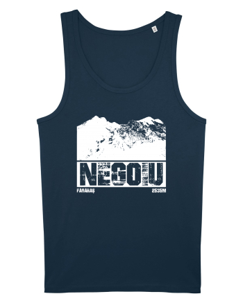 Călător în România - Vf Negoiu Navy