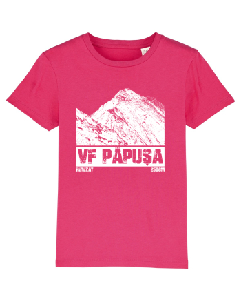 Călător în România - Vf Papușa in Retezat Raspberry