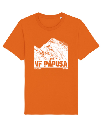 Călător în România - Vf Papușa in Retezat Bright Orange