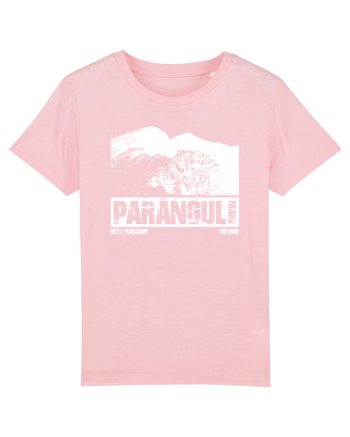 Călător în România - Vf Parângul mare Cotton Pink