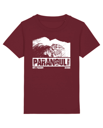 Călător în România - Vf Parângul mare Burgundy