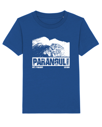 Călător în România - Vf Parângul mare Majorelle Blue
