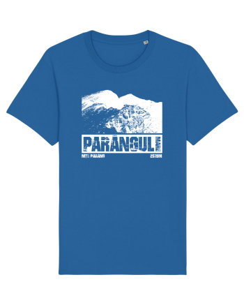 Călător în România - Vf Parângul mare Royal Blue