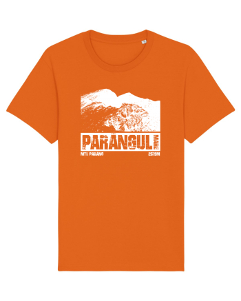Călător în România - Vf Parângul mare Bright Orange