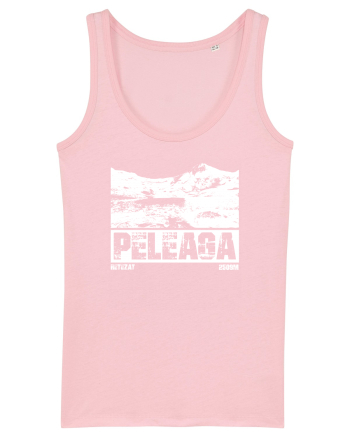 Călător în România - Vf Peleaga in Retezat Cotton Pink