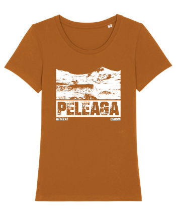 Călător în România - Vf Peleaga in Retezat Roasted Orange