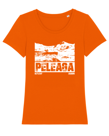 Călător în România - Vf Peleaga in Retezat Bright Orange