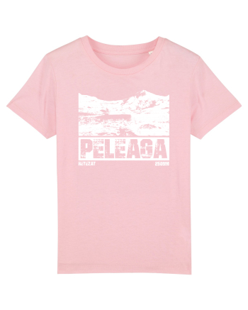 Călător în România - Vf Peleaga in Retezat Cotton Pink
