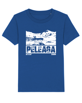 Călător în România - Vf Peleaga in Retezat Majorelle Blue