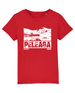 Călător în România - Vf Peleaga in Retezat Tricou mânecă scurtă  Copii Mini Creator