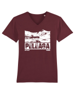 Călător în România - Vf Peleaga in Retezat Tricou mânecă scurtă guler V Bărbat Presenter