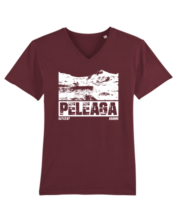 Călător în România - Vf Peleaga in Retezat Burgundy