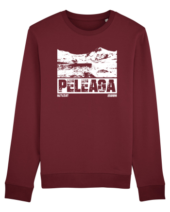 Călător în România - Vf Peleaga in Retezat Burgundy