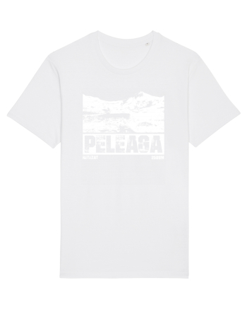 Călător în România - Vf Peleaga in Retezat White