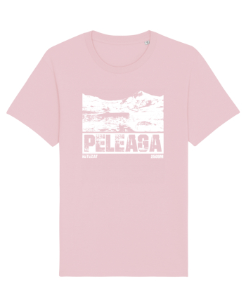 Călător în România - Vf Peleaga in Retezat Cotton Pink