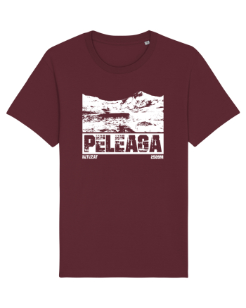 Călător în România - Vf Peleaga in Retezat Burgundy