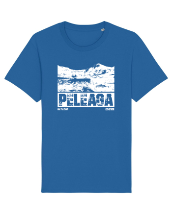 Călător în România - Vf Peleaga in Retezat Royal Blue