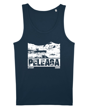 Călător în România - Vf Peleaga in Retezat Navy