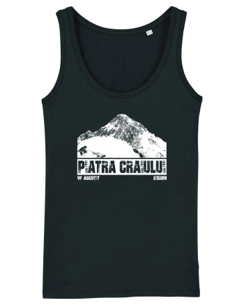 Călător în România - Vf Ascuțit in Piatra Craiului Black