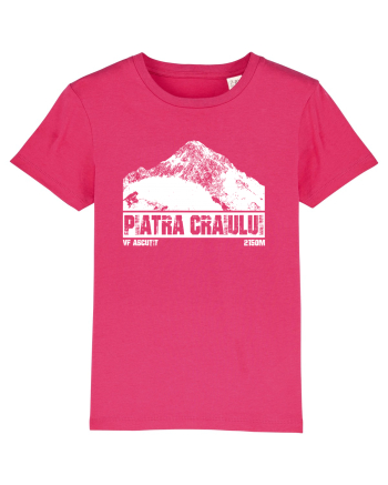 Călător în România - Vf Ascuțit in Piatra Craiului Raspberry