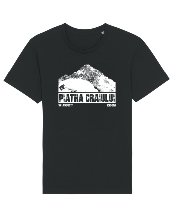 Călător în România - Vf Ascuțit in Piatra Craiului Black