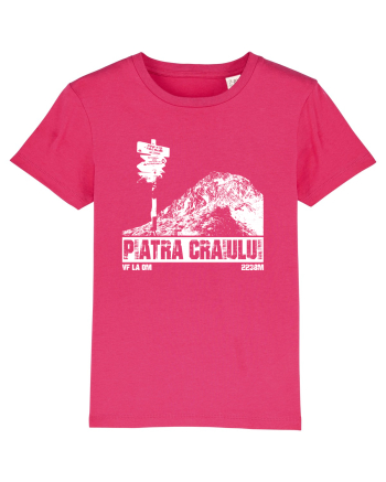 Călător în România - Vf La Om in Piatra Craiului Raspberry
