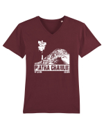 Călător în România - Vf La Om in Piatra Craiului Tricou mânecă scurtă guler V Bărbat Presenter