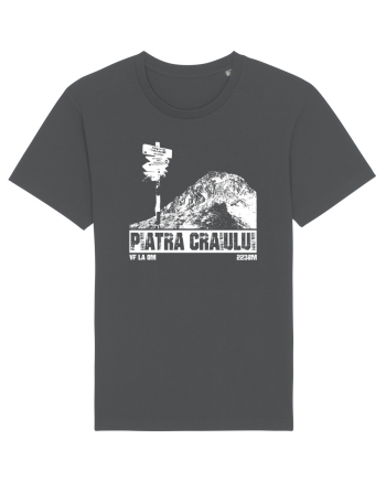 Călător în România - Vf La Om in Piatra Craiului Anthracite