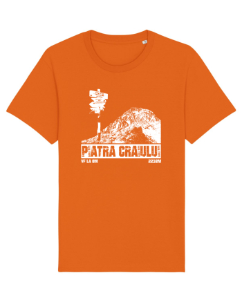 Călător în România - Vf La Om in Piatra Craiului Bright Orange