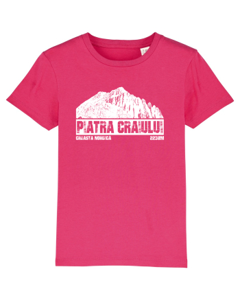 Călător în România - Creasta Nordică in Piatra Craiului Raspberry