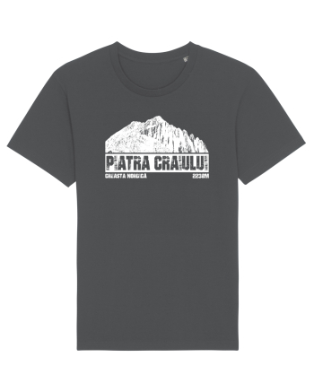Călător în România - Creasta Nordică in Piatra Craiului Anthracite
