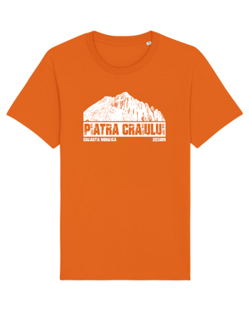 Călător în România - Creasta Nordică in Piatra Craiului Bright Orange