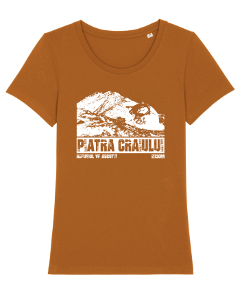 Călător în România - Refugiul Vf Ascuțit in Piatra Craiului Roasted Orange