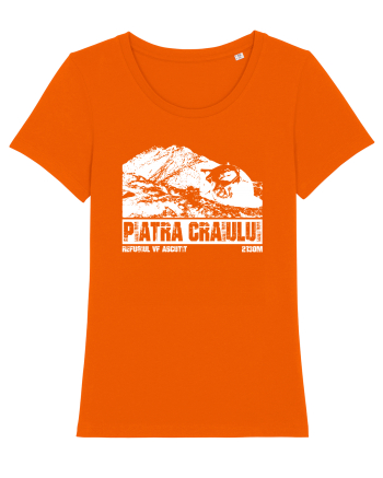 Călător în România - Refugiul Vf Ascuțit in Piatra Craiului Bright Orange