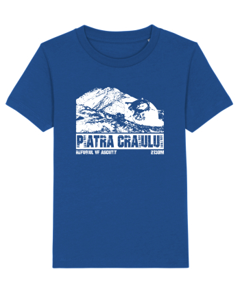 Călător în România - Refugiul Vf Ascuțit in Piatra Craiului Majorelle Blue
