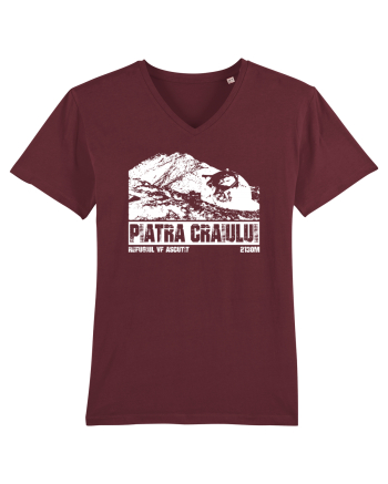 Călător în România - Refugiul Vf Ascuțit in Piatra Craiului Burgundy