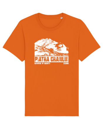 Călător în România - Refugiul Vf Ascuțit in Piatra Craiului Bright Orange