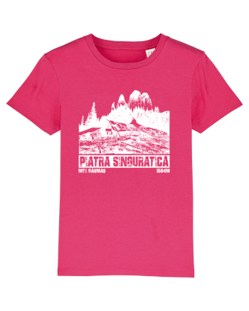Călător în România - Piatra singuratică Raspberry