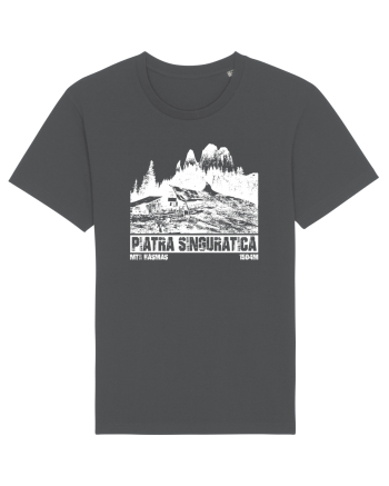 Călător în România - Piatra singuratică Anthracite