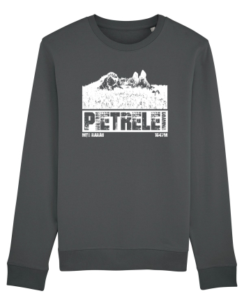 Călător în România - Pietrele Doamnei Anthracite