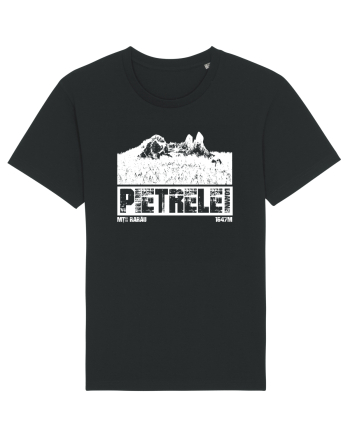 Călător în România - Pietrele Doamnei Black
