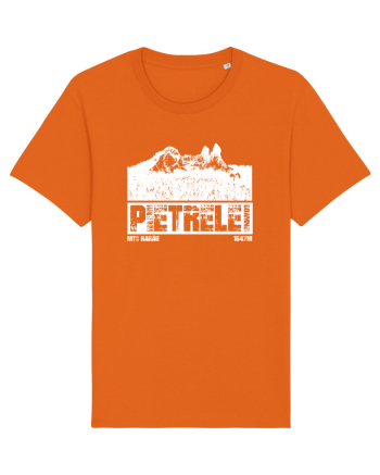 Călător în România - Pietrele Doamnei Bright Orange
