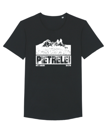 Călător în România - Pietrele Doamnei Black