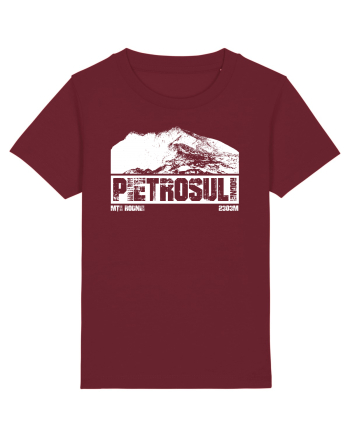 Călător în România - Pietrosul Rodnei Burgundy