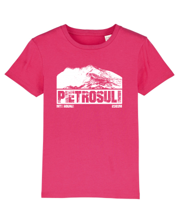Călător în România - Pietrosul Rodnei Raspberry