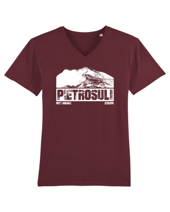 Călător în România - Pietrosul Rodnei Burgundy