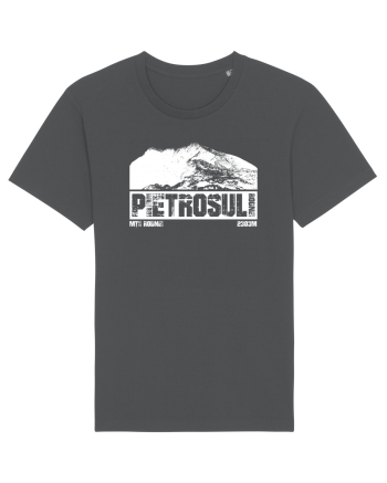 Călător în România - Pietrosul Rodnei Anthracite
