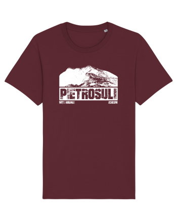 Călător în România - Pietrosul Rodnei Burgundy