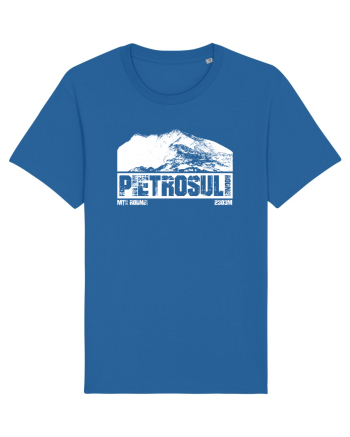 Călător în România - Pietrosul Rodnei Royal Blue