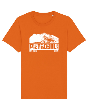 Călător în România - Pietrosul Rodnei Bright Orange